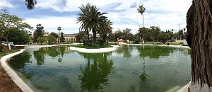 ORAN-Jardin public d'Oran 3